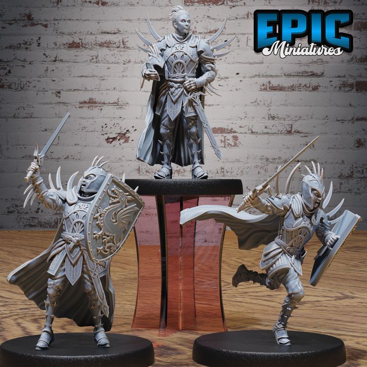 3D Resin Miniature Dragon Huntress Knight - D&D Epic Miniatures