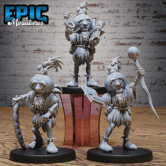3D Resin Miniature Garlic Druid - D&D Epic Miniatures