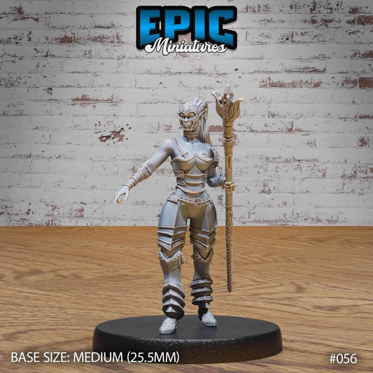 Dark Elf - Drow - Female Gladiator - D&D Epic Miniatures   and Dragons