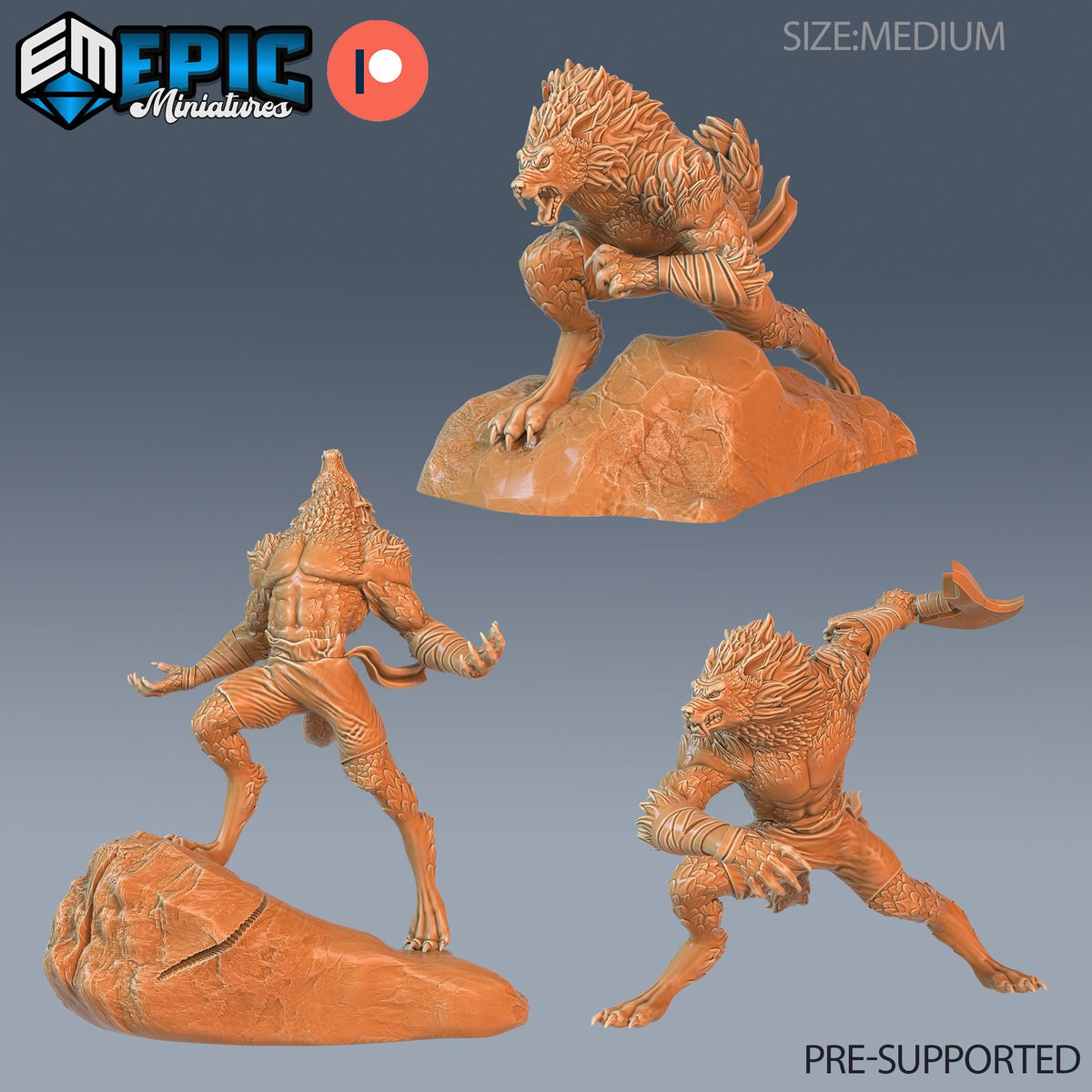 three detailed 3D models of a werewolf-like creature, each in a different pose. The models are set against a gray background and appear to be made of a material that resembles stone or concrete. The image is labeled as "PRE-SUPPORTED" and is described as a "size-medium" in the provided text.