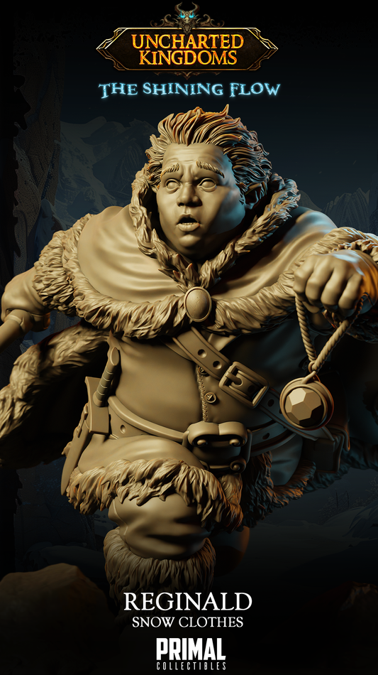 Halfling Rogue Reginald - Uncharted Kingdom