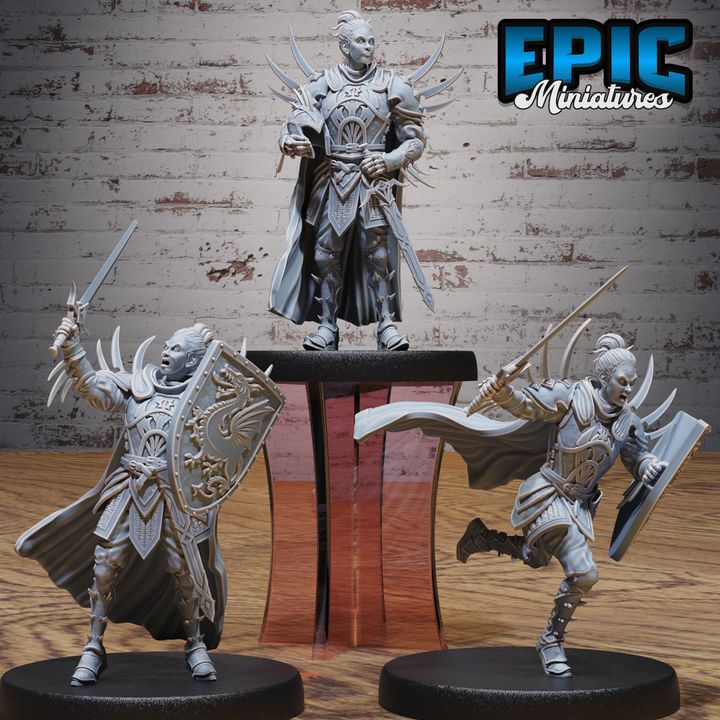 Dragon Huntress Knight v2 – Epic  Fantasy Resin FigureDragon Huntress Knight MiniatureDiscover the Dragon Huntress Knight miniature – perfect for D&D, TTRPGs, and fantasy tabletop games. Printed in high-detail resin, ready to
