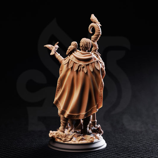 A detailed figurine of a person wearing a cape and holding a staff, with birds perched on their shoulders, against a dark background.