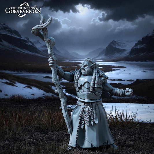 Ironmoor Orc Shaman Tales of the Northern Kingdom - Printing Goes Ever On