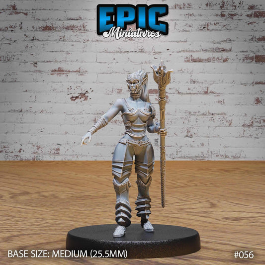 Dark Elf - Drow - Female Gladiator - D&D Epic Miniatures   and Dragons