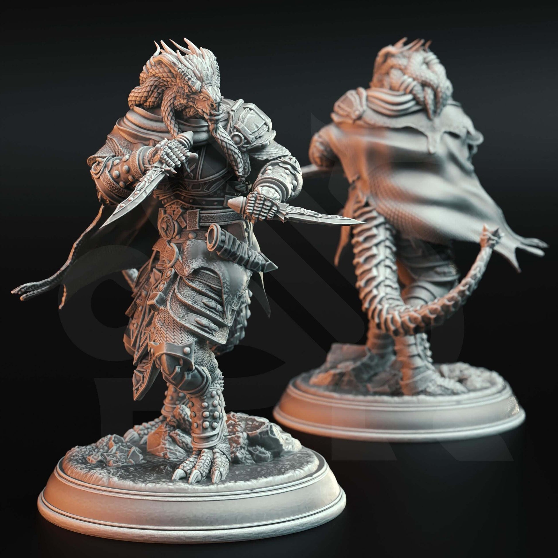 Dragonborn Assassin Rogue - Umbrascale - 3D Printed Resin RPG/Tabletop/Boardgames Miniature DM Stash