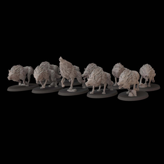 Midnight Wolves - Fantasy Cult Miniatures