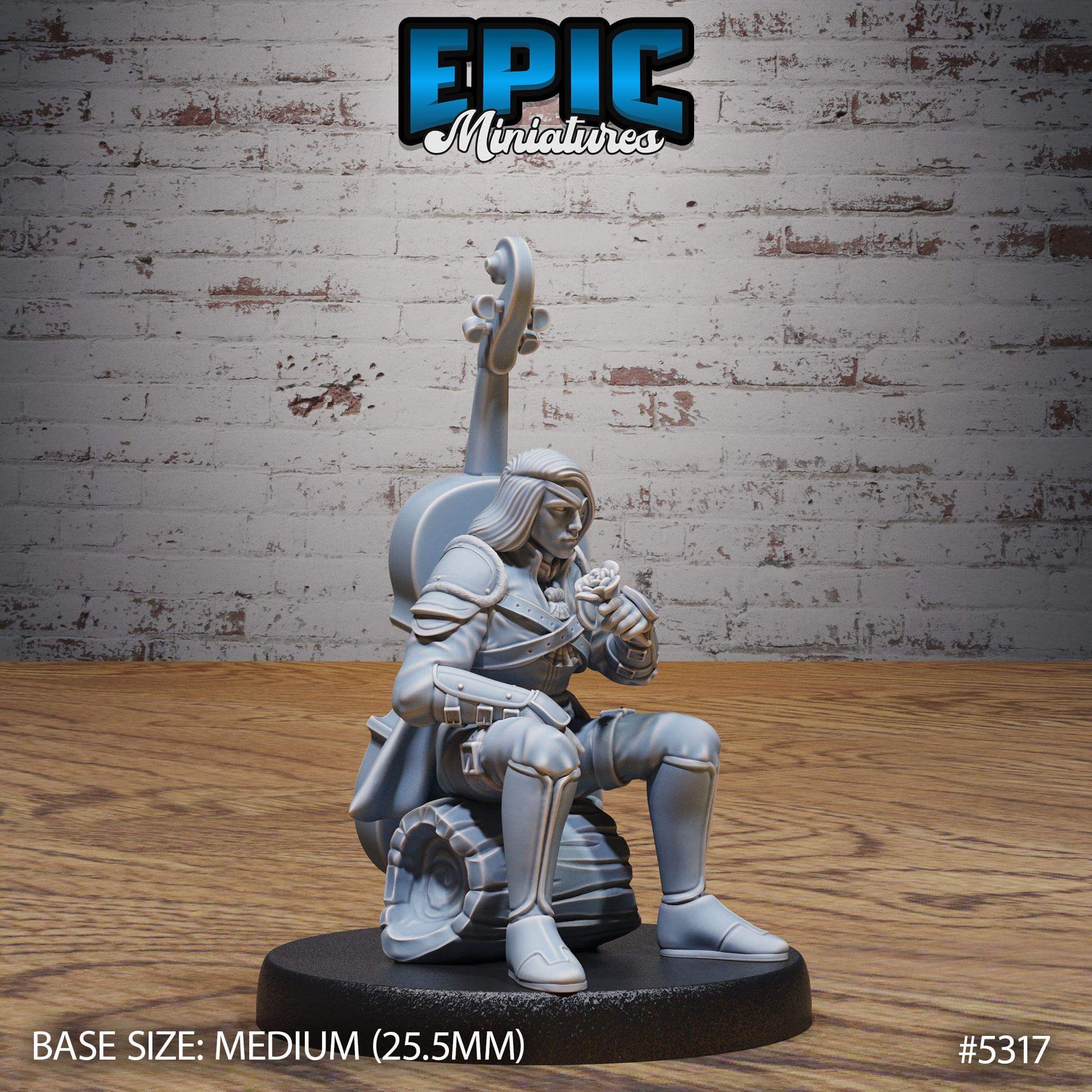Vagabond Bard Set - Epic Miniatures - Dungeons and Dragons