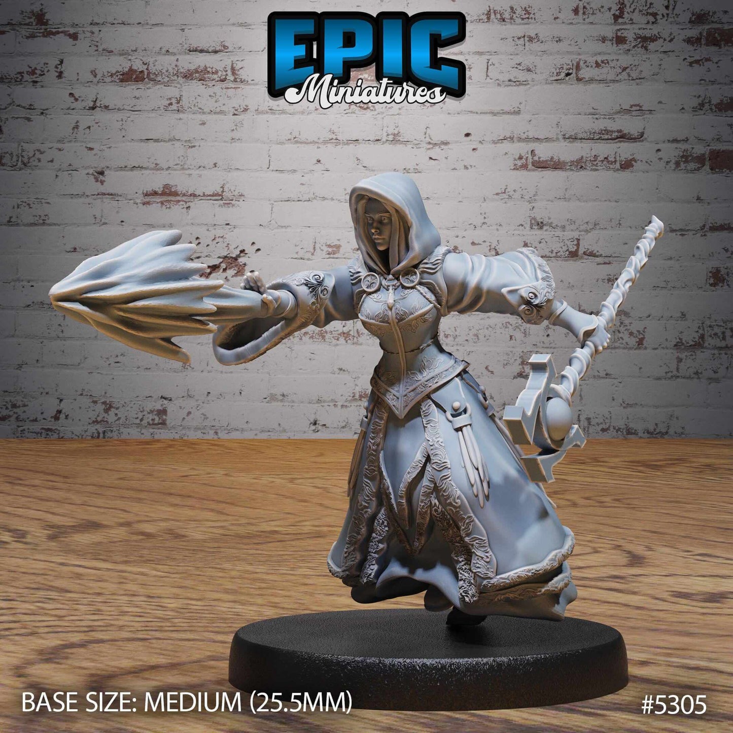 High Sorceress Set - Epic Miniatures - Dungeons and Dragons