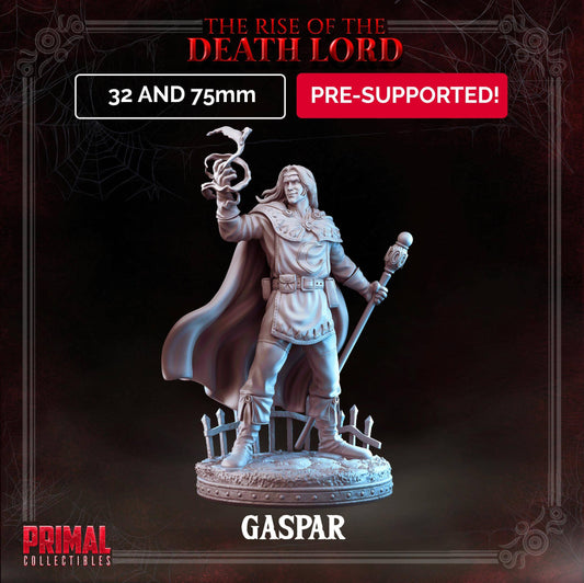 Wizard - Gaspar - The Rise of the Death Lord - Masters of Dungeon Quest