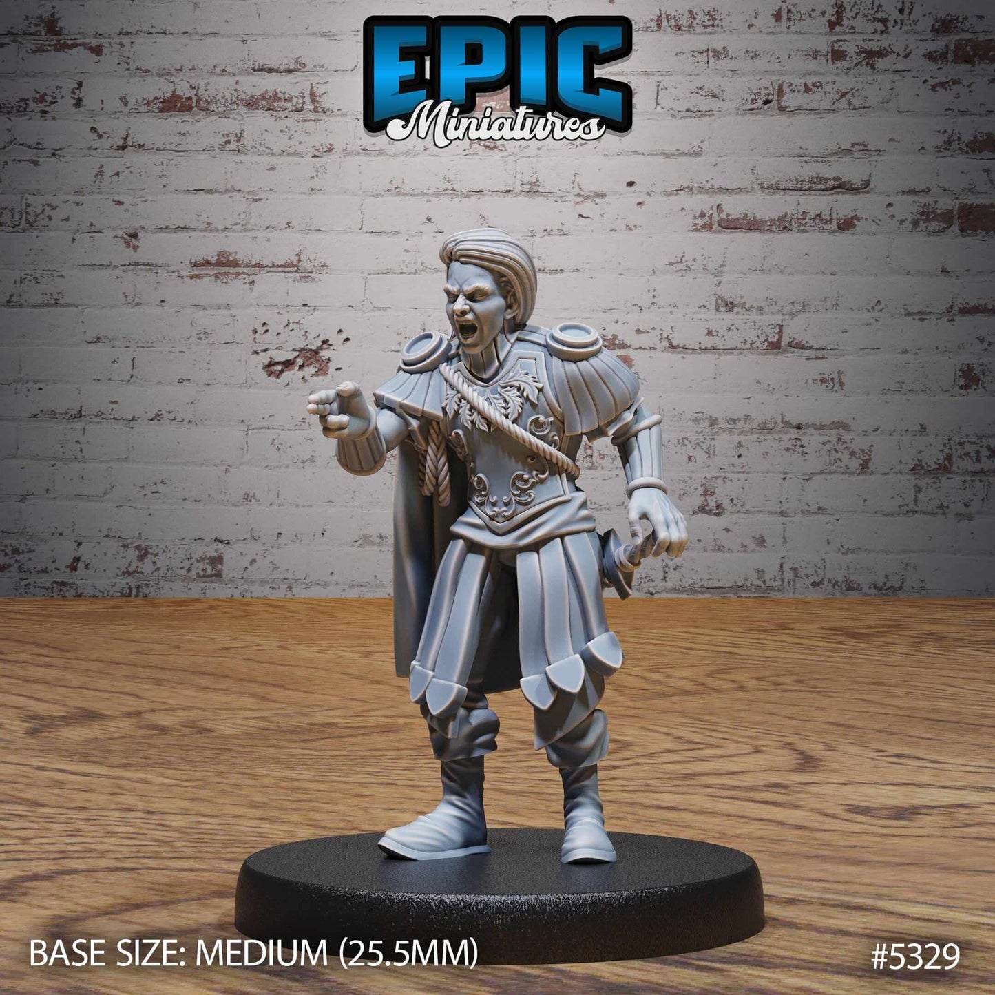 Noble Character Set - Epic Miniatures - Dungeons and Dragons