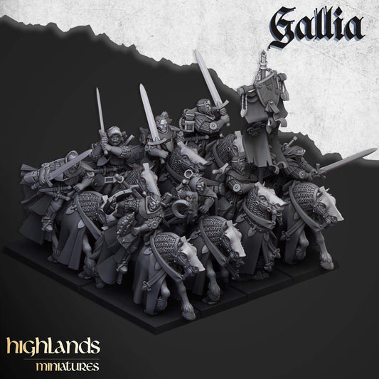 Gallia Questing Knights - Highlands Miniatures - Breton Proxies
